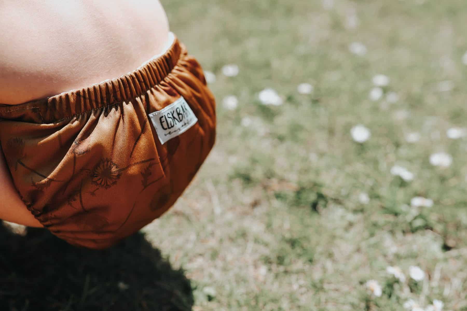 Dandelions cloth diaper