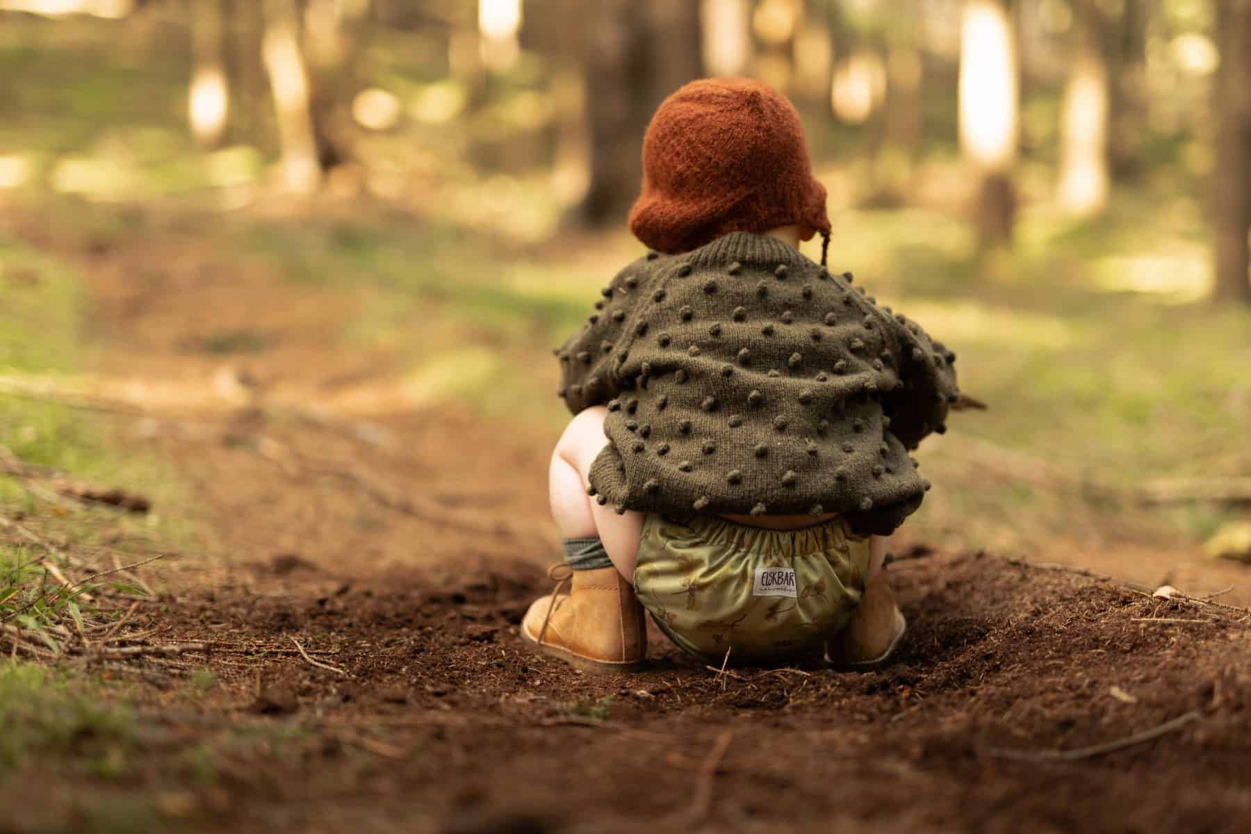 Acorn Cover All in the Woods