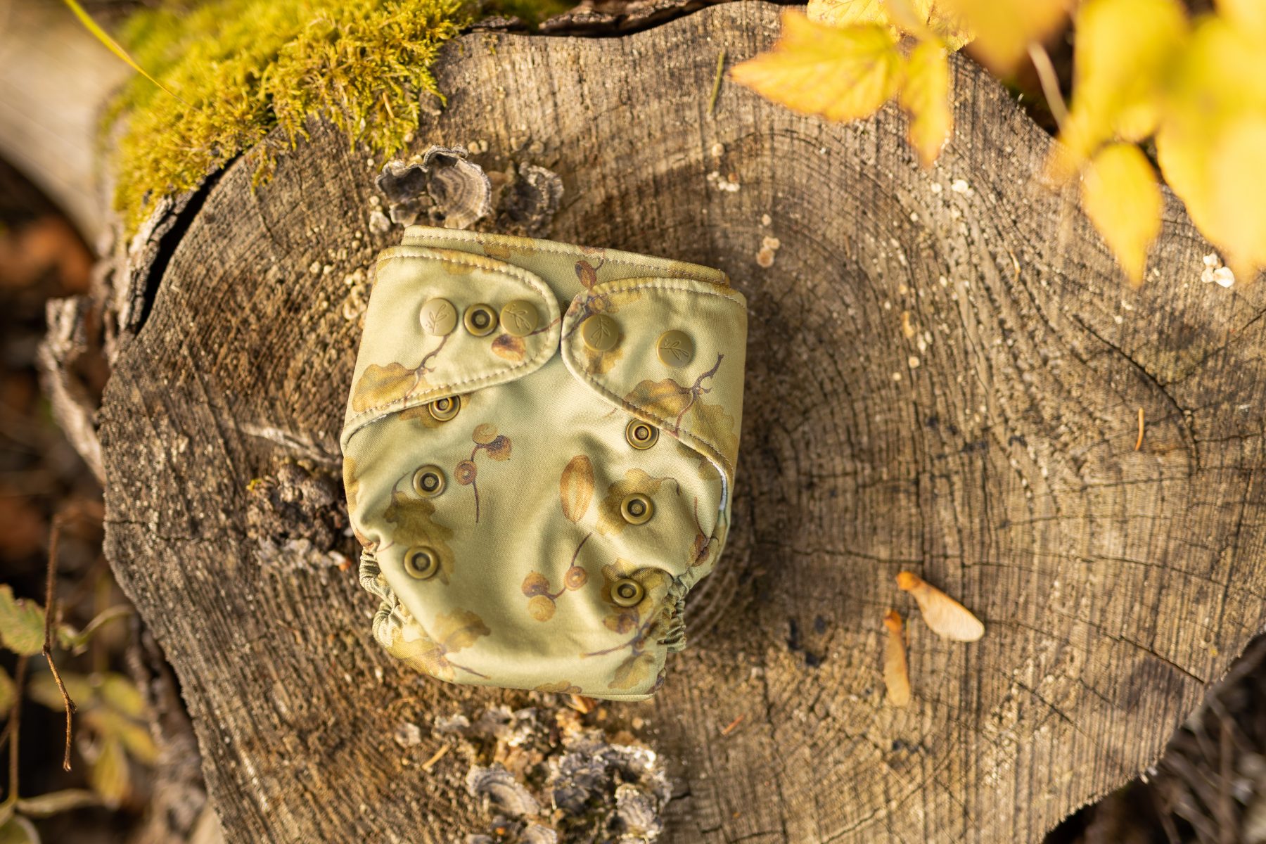 Acorn newborn moderne stofble
